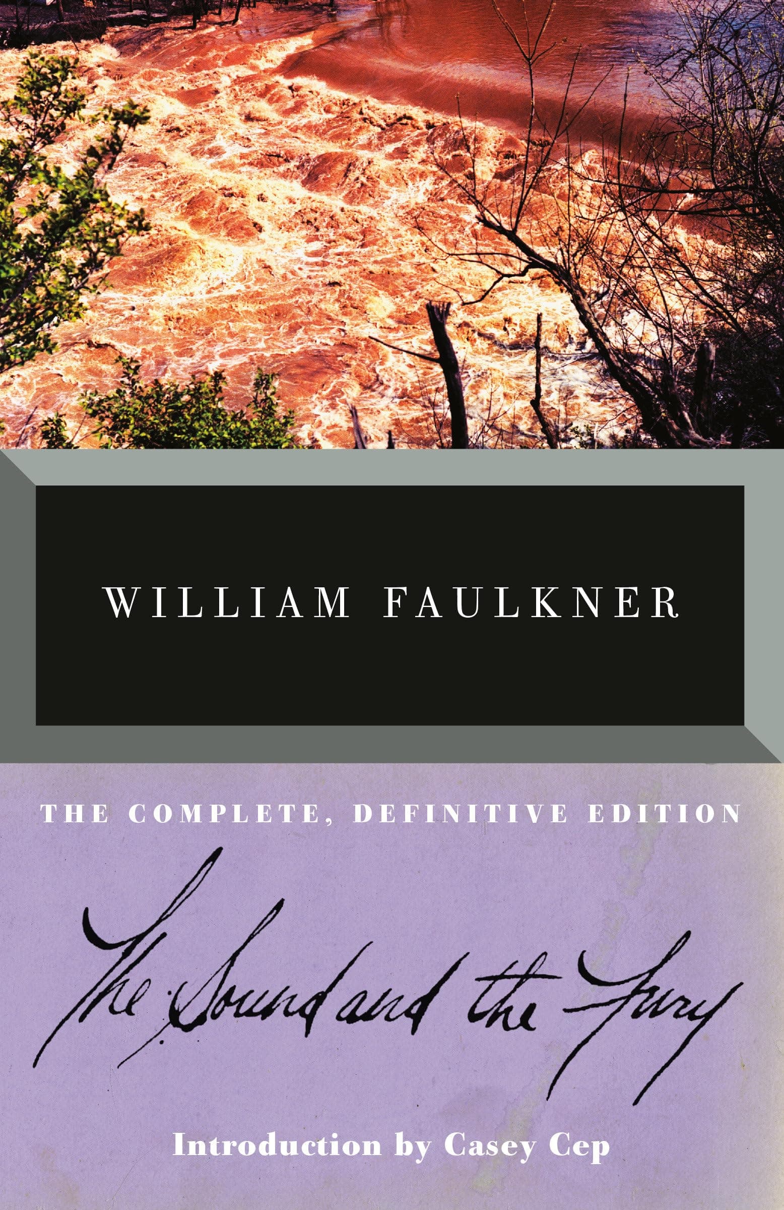 Cover of The Sound and the Fury